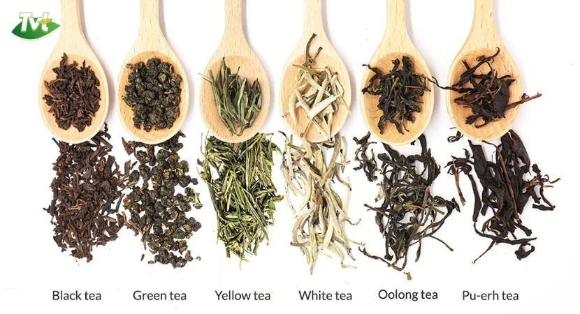 Chế biến trà phổ nhĩ