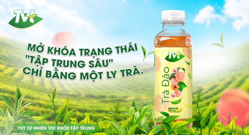 Trà tập trung TVT